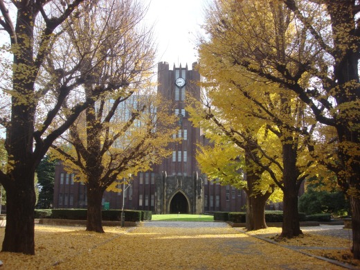 A Universidade de Tóquio informou que não fará cortes